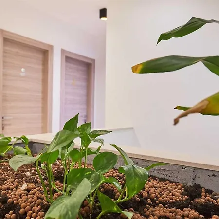 Boutique Garden דוברובניק