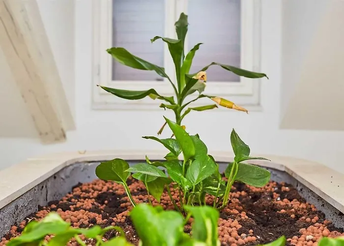 Boutique Garden 3* Dubrovnik