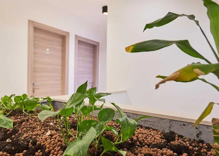 Boutique Garden Дубровник